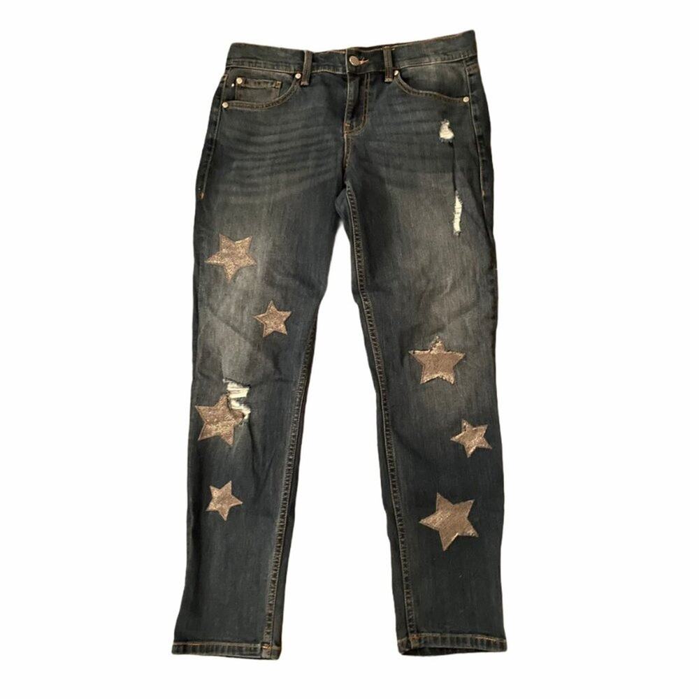Anthropologie Level 99 Sienna Tomboy Boyfriend Jeans Silver Stars